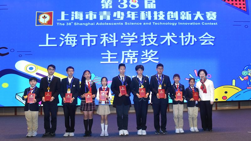 系统集成项目经理岗位职责说明书：关键职责与能力解析
